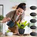 6 Inch Self Watering Pots for Indoor Plants(5-Pack) Small Plastic Planters with Water Level Window, Drainage Holes & Detachable Trays, Indoor Outdoor Flower Pots for Herbs, Snake,Pothos(Black)