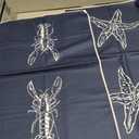 Shiviody Ocean Marine Kitchen Towels - Coastal Beach Dish Towels, Sea Nautical Starfish Crayfish Decorative Absorbent Dishcloths Hand Towels Set of 2 for Beach House Bathroom Decor 16x24 Inches
