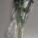 AxPower Black Roses Artificial Flowers 10 Pack in Bulk, Black Fake Roses Flowers Realistic Roses for Halloween Gothic Wedding Home Party Decoration Event Gift