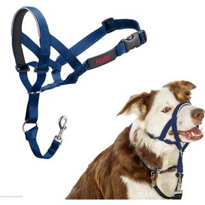 HALTI Headcollar - to Stop Your Dog Pulling on The Leash. Adjustable, Reflective and Lightweight, with Padded Nose Band. Dog Training Anti-Pull Collar for Medium Dogs (Size 2, Cobalt Blue)