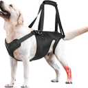 Dog Lift Harness