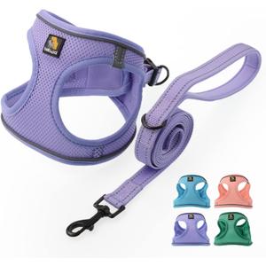 BELLA & PAL Step in Vest Harness for Small and Medium Dogs, No Pull Small Dogs Harness with Leash Set, Comfortable Air Mesh Dog Vest Harness with Reflective Strip (Lavender, M)