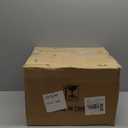 Leinuosen 4 Pcs 16 Inch Professional Mannequin Head Plastic, Realistic Durable Women Model Torso Styling for Wig, Making Styling, Hat, Mask, Headdress, Jewelry, Sunglasses Decor (Black)