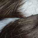 Haloo Brown Bob Wigs with Bangs Shoulder Length Straight Natural Looking Synthetic Heat Resistant Medium Hair Wigs for Women Daily Party, 16 Inch Dark Brown