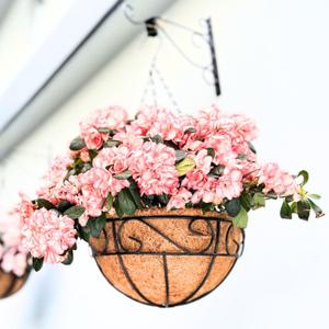 LaLaGreen Hanging Planter for Outdoor Plants (16 Inch, 6 Pack) Hanging Baskets with Coco Liner, Black Metal Wire Flower Basket Pots with Hook Hanger Balcony Porch Farmhouse Country Style Garden Decor