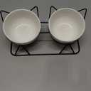 Trosetry Cat Bowls, Double Ceramic Pet Bowls with 15°Tilted Raised Stand for Food and Water, Anti Vomiting Dish Feeder, Perfect Puppy Cats Small Dogs(Black Stand), LLNVBP1966