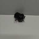 Fuel Filter for Honda Acura PF-1200 Injected Gasoline Filter Compatible with 1988-2004 Honda Accord Odyssey Civic CR-V Prelude Acura Integra TL RL CL EL 16010ST5932 16010S01A31 Engine Parts (Black)