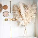 20pcs 40'' Pampas Grass Tall Decor - Pompas Floral, Tall Pampas Grass for Floor Vases, Living Room Floor, Floor Plants, Plumas para, and Grass Wall Decor