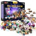 Dan&Darci Rock Collection for Kids - Includes 250+ Bulk Rocks, Gemstones & Crystals + Genuine Fossils and Minerals - 2 Lbs. - Geology Earth Science STEM Toys Activity, Gifts for Boys & Girls Ages 6+
