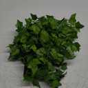 Contatto 41 Feet Solar String Lights with Waterproof LED Outdoor Decor, Artificial Ivy Vines, Patio, Balcony, Garden, Party