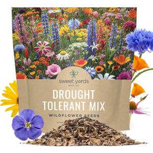 Drought Tolerant Wildflowers Mix  Extra Large Packet  Over 7,500 Open Pollinated Non-GMO Seeds  21 Different Dryland Species (1 Ounce Pouch)