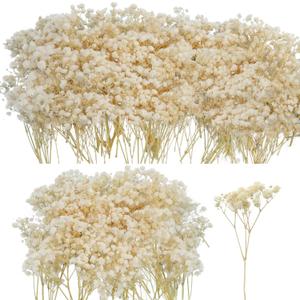 50Pcs Mini Dried Baby's Breath Flowers, 6'' Natural Ivory White Flowers for Resin Art Craft DIY, 3000+ Pressed Gypsophila Bouquet Present for Valentine's Day, Wedding Wreath, Card Making, Home Decor