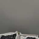 Warming Mat for Food Extra Large, 55"x16" 550W Splicing Food Warmer Trays for Buffets Party, Fast Full-Surface Heating Portable Mats for Food with 7 Level Adjustable Temperature 4 Hours Timer