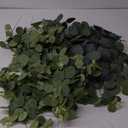 Giegxin 270 Pcs 3 Kinds Mixed Eucalyptus Leaves Stems Bulk Artificial Silver Dollar Leaves Picks Dried Eucalyptus Bundle Faux Spray for Wedding Vase Bouquet Floral Arrangement (Green)