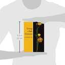 Living a Safe Universe: A Book for Seth Readers