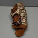 Hollypet Hide and Seek Squeaky Dog Toy, Designed Interactive Puzzle Plush Stuffed Puppy Toy, Squirrel