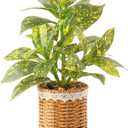 Nubry Fake Plants Artificial Potted Plants with Weaved Pot for Shelf & Table Desk | Perfect for Home Office Bathroom Farmhouse Room Coffee Table Decor 10‘’
