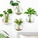 DomeStar 4PCS Wall Vases, Wall Mounted Hanging Glass Vases Clear Planter Terrarium Station for Hydroponics Plants Propagation Home Office Living Room Decor