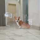 Clear Acrylic Freestanding Dog Gates for The House Folding 3-Panel Pet Gates for Doorways, Indoor Stairs, and Hallways, Transparent Barrier for Dogs, Puppies, and Cats