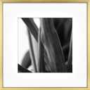 MCS Master & Co. Foundry Metal 12x12 Square Picture Frame, Display Pictures 8x8 With Mat or 12x12 Without Mat, Wall Hanging Frame for Photos & Artwork, Brass (1-Pack)