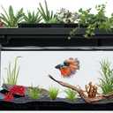 3.7 Gallon Betta Fish Tank self Cleaning, Smart Aquarium Aquarium kit with Filter Light Water Pump