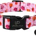 Halloween Pumpkin Dog Collar,Lightweight Pink Halloween Puppy Collar with Plastic Buckle,Fancy for Dogs,Suitable for Small Medium Large Girl or Boy Dogs