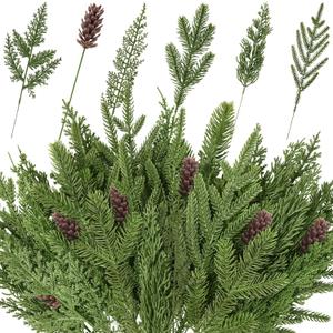 50PCS Christmas Norfolk Pine Branches, 6 Styles Artificial Christmas Norfolk Branches Artificial Greenery Real Touch Pine Needle Branches Stems Sprigs for Xmas DIY Making Garland Wreath Home Decor