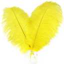 Happy Feather 16-18 inch Yellow Ostrich Feathers Craft for Wedding Party Centerpieces Home Decoration DIY Craft Pack of 10