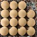 Liliful 15 Pcs Velvet Christmas Balls Bulk Flocked Christmas Tree Ball Ornaments Plastic Xmas Decorative Hanging Ornaments(Light Khaki, 3.15 Inch)