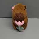 Flower Capybara Plush for Valentines Day Gifts for Her, Cute Capibara Plushies Toy,Kawaii Soft Stuffed Animal Capybara, Stuffed Toys Gifts for Birthday Party Girls Kids Adults (9in)