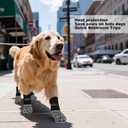 Premium Non-Slip Dog Socks for Hardwood Floors - Extra-Thick Grip That Works Even When Twisted - Prevents Licking, Slipping, and Great for Dog Paw Protection - (Medium)