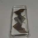 Super Large Taxidermy Bat, Preserved Bats, Real Animal Bat Specimen in Resin for Closer-Look & Study, Novelty Classroom Science Education, for Home Office Display Decor Ornament (8x3.5x1.6-inch)