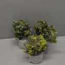 Der Rose 3 Pack Mini Potted Fake Plants Artificial Plastic Eucalyptus Plants Topiaries for Home Office Desk Farmhouse Shelf Room Bathroom Decor(Sage Green) (Grey)