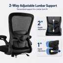 Ergonomic Office Chair for Lower Back Relief, 4-Way Lumbar, 330 LBS, Medium