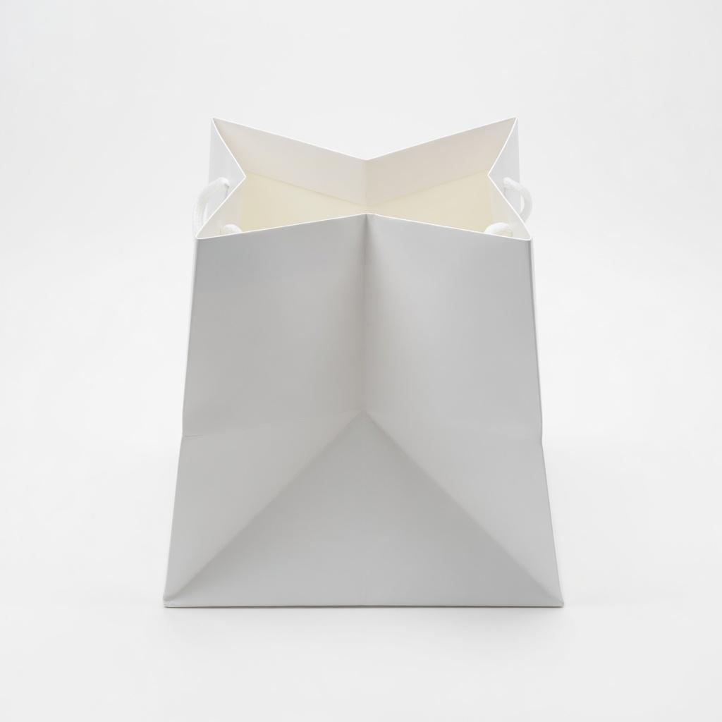 Paper bags 12 PCS, 1*1 FT