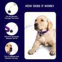 Calming Collar for Dogs - Natural Dog Anxiety Relief Collar, Dog Stress and Anxiety Relief, Reduces Stress & Unwanted Behaviors, 60-Day Effect, 13-20 Inch Adjustable & Waterproof