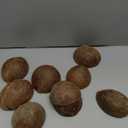 Restaurantware-Coco Casa 3.5 x 4 x 1.5 Inch Coconut Shell Bowl, 10 Durable Coconut Wood Bowls - Does Not Crack Easily, Half Shell, Coconut Smoothie Bowls, Real Coconuts, For Parties Or Catering