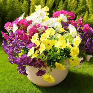 Fanfantoey Artificial Flowers for Outdoor, UV Resistant Fake Plants Outside Decoration, 14 Pcs Realistic Silk Morning Glory Faux Flowers for Porch Patio Gardens Home Decor(14, 4 Mixed) (4 Mixed(4 Fuchsia, 4 White, 4 Yellow, 2 Purple))