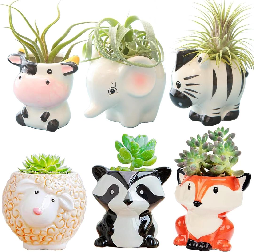 Melphoe 6Pcs Air Plant Holders Cartoon Shaped Small Succulent Pot Animal Planter Small Ceramic Pot Drainage for Mini Plant Cactus Flower, Tillandsia Air Fern, Display Stand Home, Office Desktop