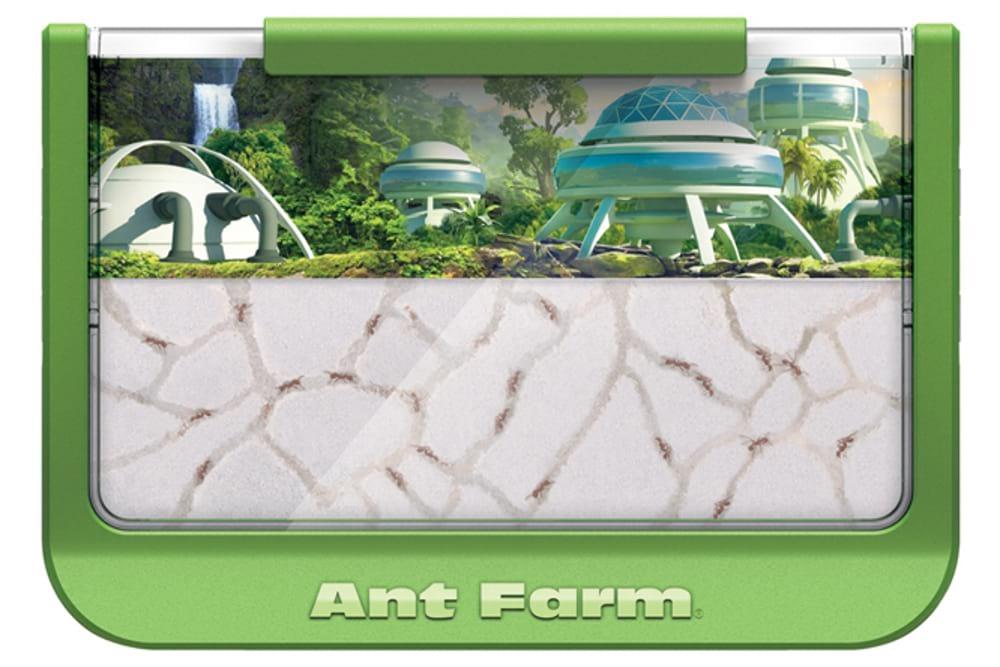 Ant Farm - Rainforest - Green - Uncle Milton Scientific Educational Toy