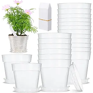 10 Pcs 9 Inch Clear Nursery Pots Include 10 Saucer and Plant Labels Set Transparent Plastic Plant Pot with Drainage Hole Clear Planter with Drip Tray for Herb Flowers Vegetable