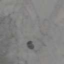 100 Acre Woods Bear Backdrop Baby Shower 7x5 Bear Background Happy Birthday Bear Home Map Backdrops for Kids One Year Old