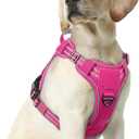 rabbitgoo Dog Harness Medium Sized No Pull, Tactical Service Pet Vest with Molle and Control Handle, Adjustable and Reflective Military Harness for Easy Walking and Training, Rose Red, M