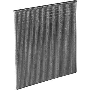 Freeman SSSF16-25 16-Gauge 2-1/2" Glue Collated Stainless Steel Straight Finish Nails (1000 Count)