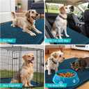 OLANLY Dog Door Mat Set 2-Piece 24x16, Absorbs Moisture and Dirt, Absorbent Non-Slip Washable Doormat, Quick Dry Chenille Mud Mat for Dogs, Entry Indoor Entryway Carpet for Inside Floor, Atlantic Blue
