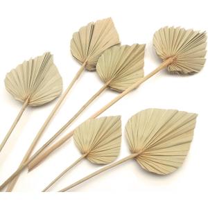 Boho Dried Palm Leaves, Small Dried Palms Plant Spears Fans, Palm Leaf with Stem for Home Office Wall Decor | Tropical Wedding Flowers Decor | Party Table Vase Decoration (Natural,6 Pcs)