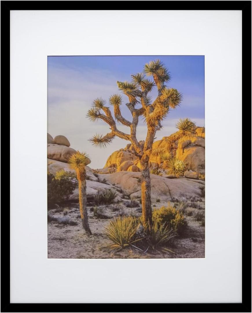 Art Emotion Black 16x20 Picture Frame – Fits 11x14 Photos with Mat or 16x20 Without Mat, Wall Hanging Photo Frame, 1-Pack