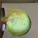 First Alert SMI100-AC, Hardwire Interconnect Smoke Alarm with Battery Backup, 1-Pack