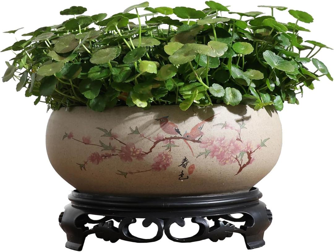 TOIVO Lotus Bowl Planter, Coarse Pottery Water Lily Flower Pot with Plastic Base, 7.8 inches (B-2)