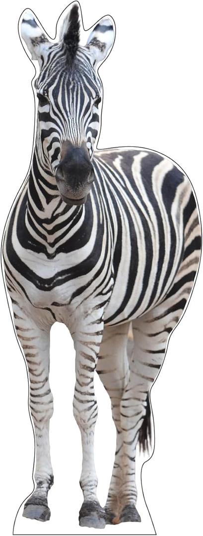 Life Size Cardboard Cutout Standup | Waterproof | Animals - Zebra